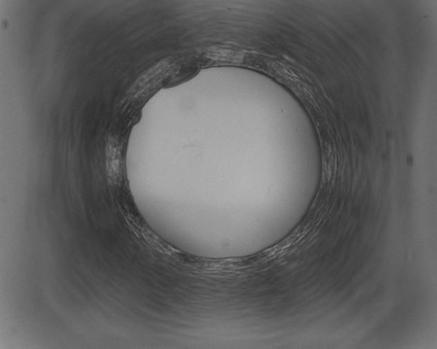 X0000081471154200701121008