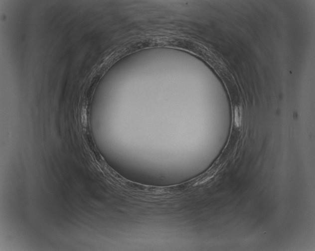 X0000081471155200701121008