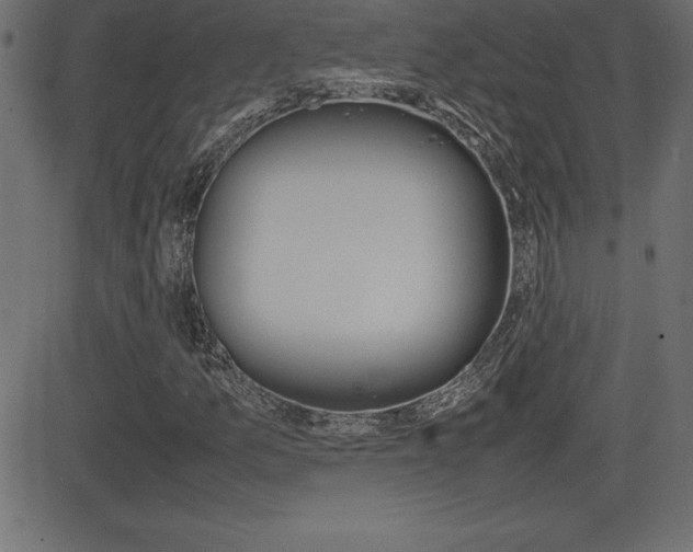 X0000081471157200701121008