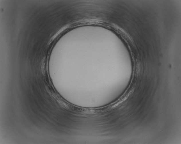 X0000081471162200701121008