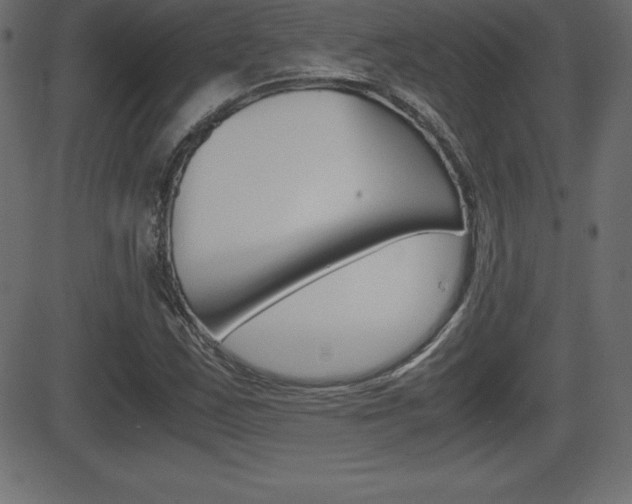 X0000081471163200701121008