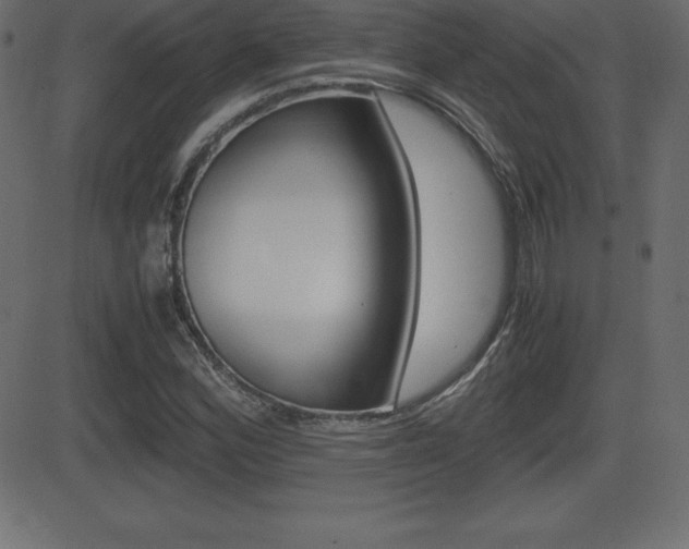 X0000081471164200701121008
