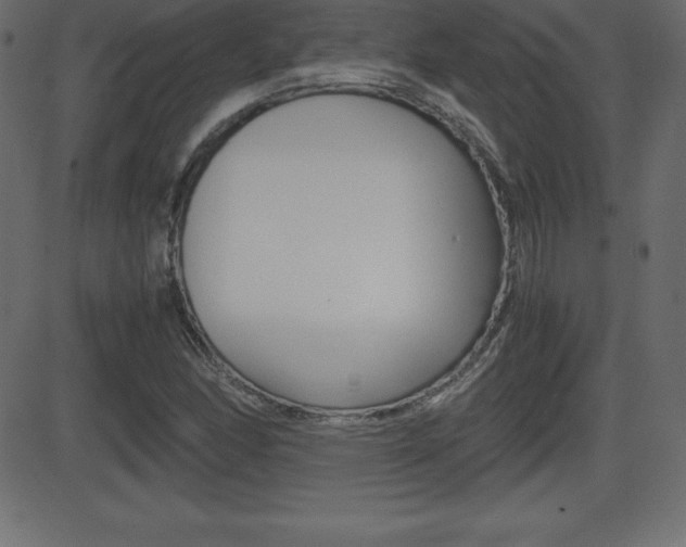 X0000081471166200701121008
