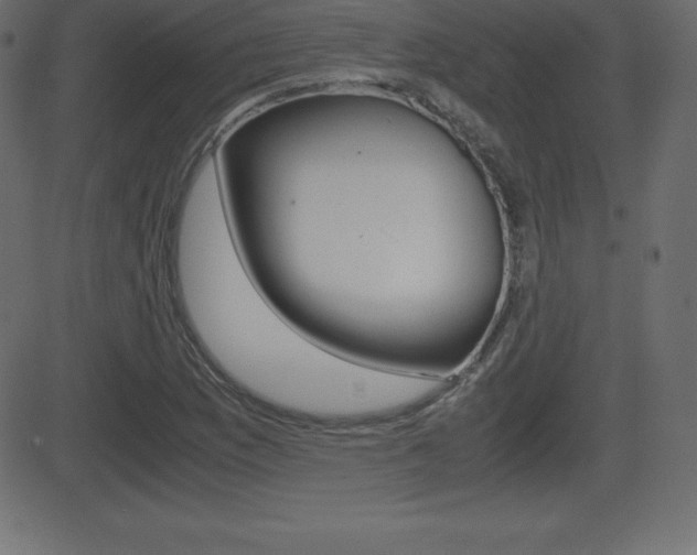 X0000081471169200701121008