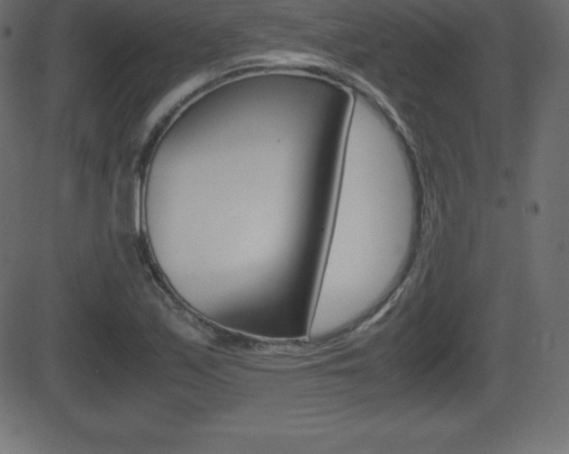 X0000081471171200701121008