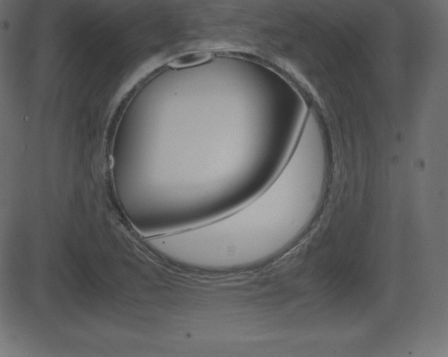 X0000081471173200701121008
