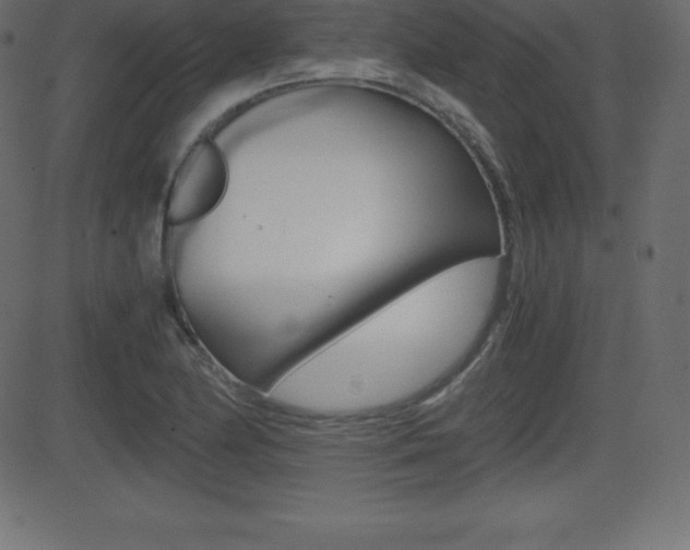 X0000081471174200701121008