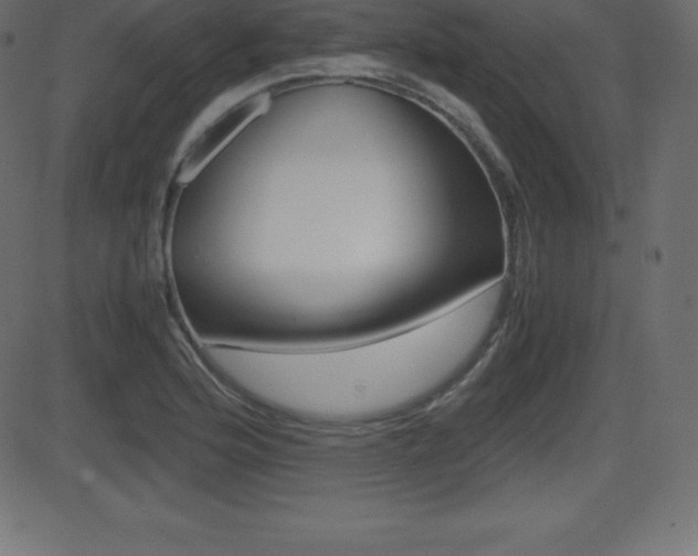 X0000081471176200701121008