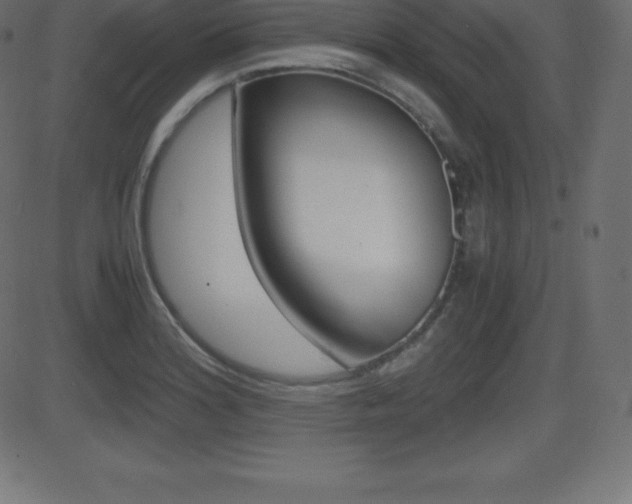 X0000081471180200701121008