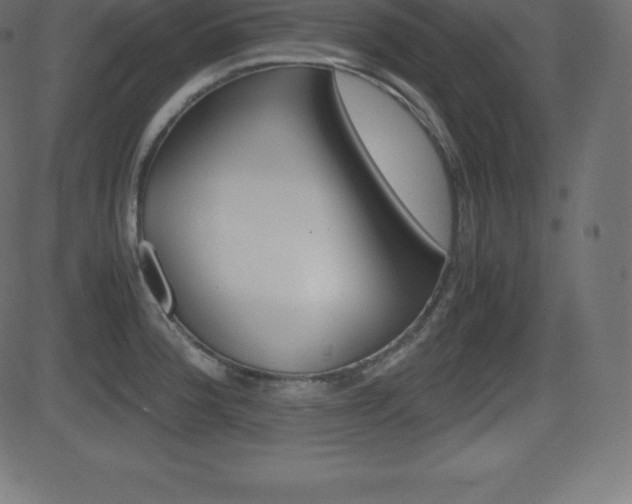 X0000081471188200701121008