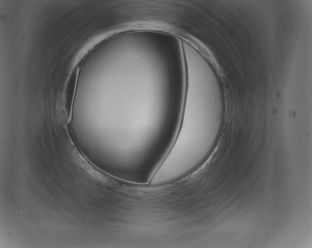 X0000081471192200701121008