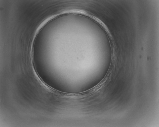 X0000081471199200701121008