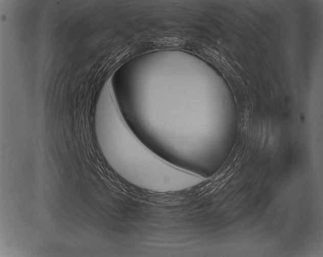 X0000081471201200701121007