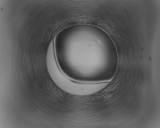 X0000081471202200701121007