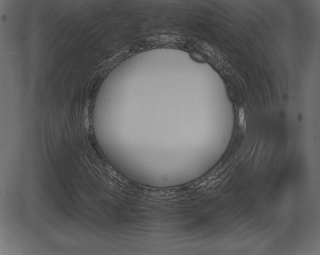 X0000081471203200701121007