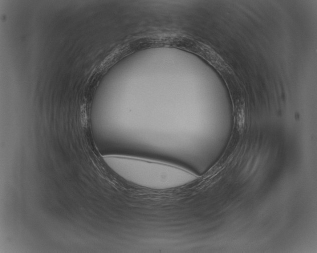 X0000081471204200701121007