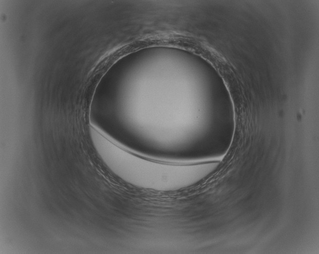 X0000081471206200701121007