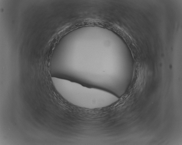 X0000081471207200701121007
