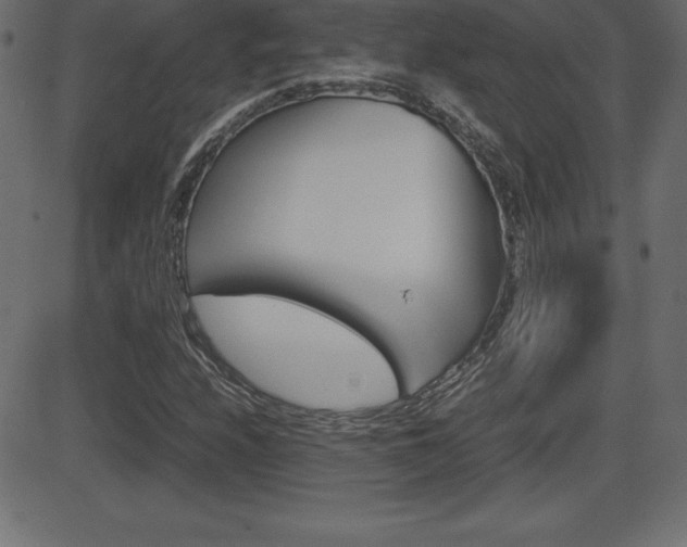 X0000081471208200701121007