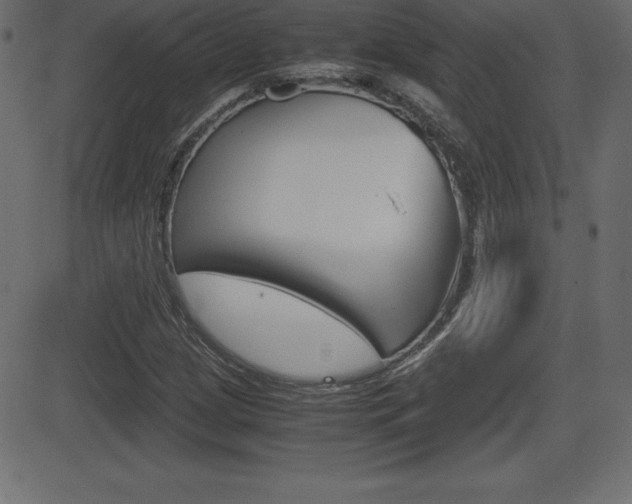 X0000081471209200701121007