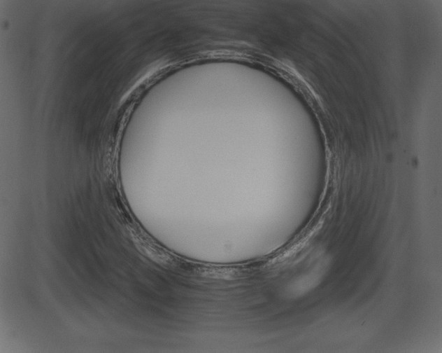 X0000081471211200701121007