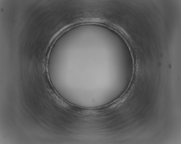 X0000081471212200701121007