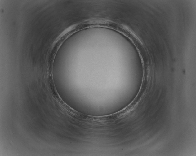 X0000081471213200701121007