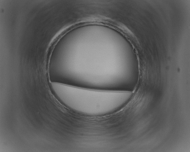 X0000081471216200701121007