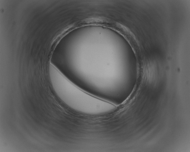 X0000081471217200701121007