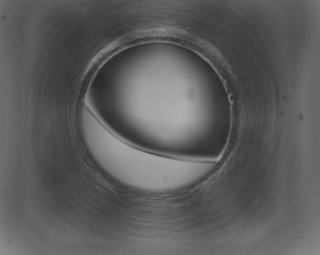 X0000081471218200701121007