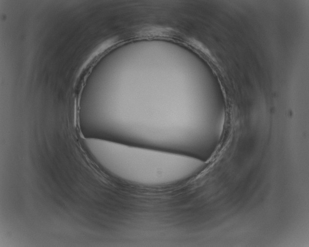 X0000081471219200701121007