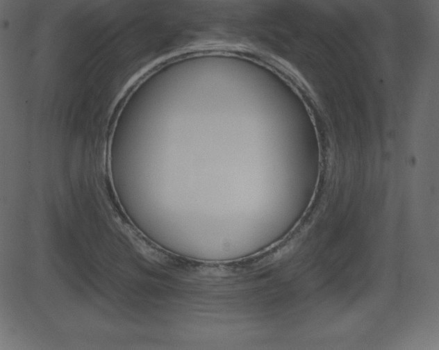 X0000081471220200701121007