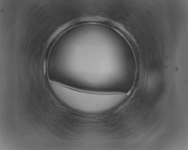 X0000081471221200701121007