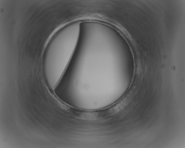 X0000081471224200701121007