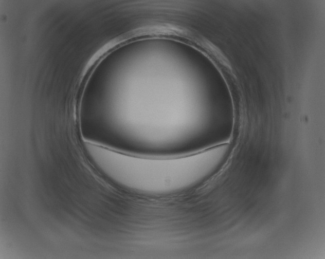 X0000081471226200701121007