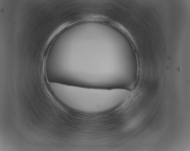 X0000081471227200701121007