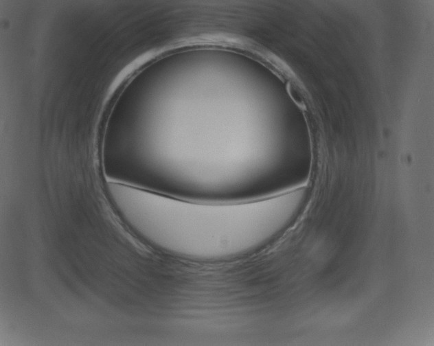 X0000081471230200701121007