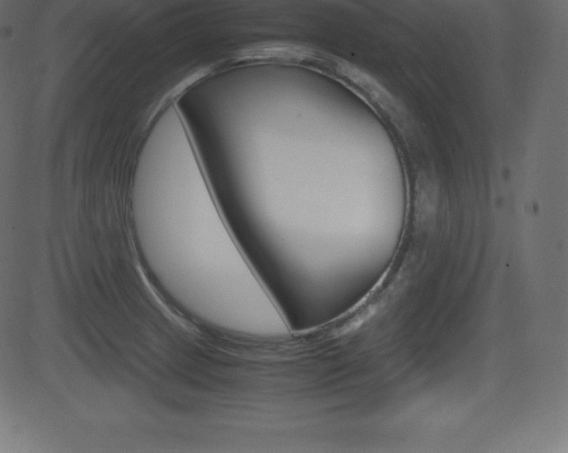 X0000081471233200701121007