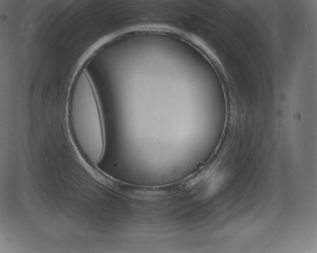 X0000081471237200701121007
