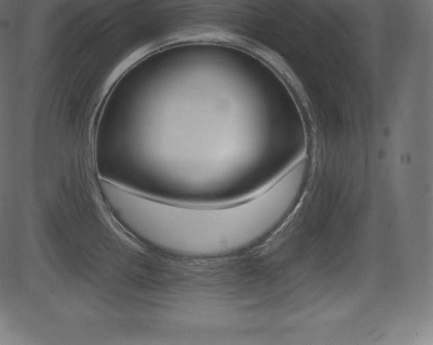X0000081471242200701121007
