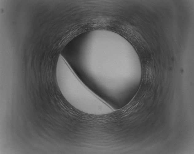 X0000081471250200701121007