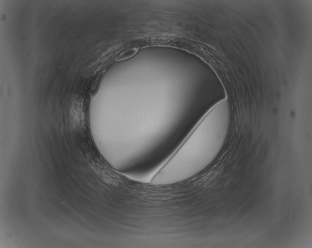 X0000081471252200701121007