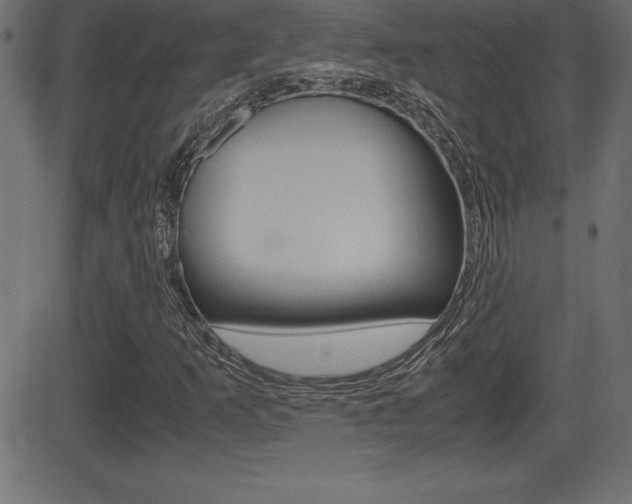 X0000081471253200701121007