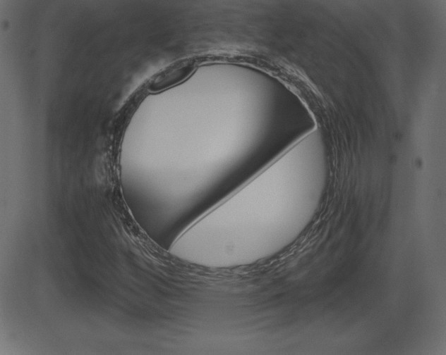X0000081471256200701121007