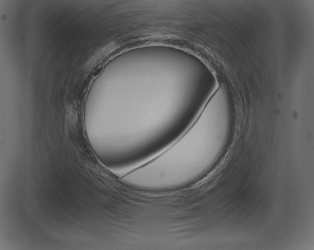 X0000081471257200701121007