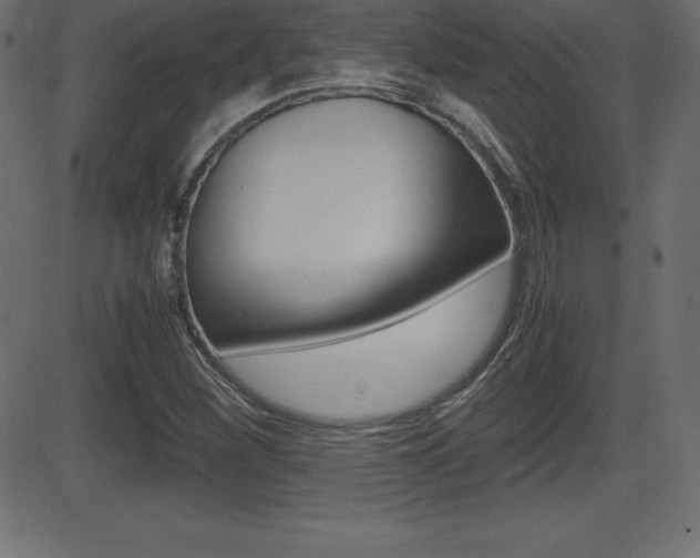X0000081471260200701121007