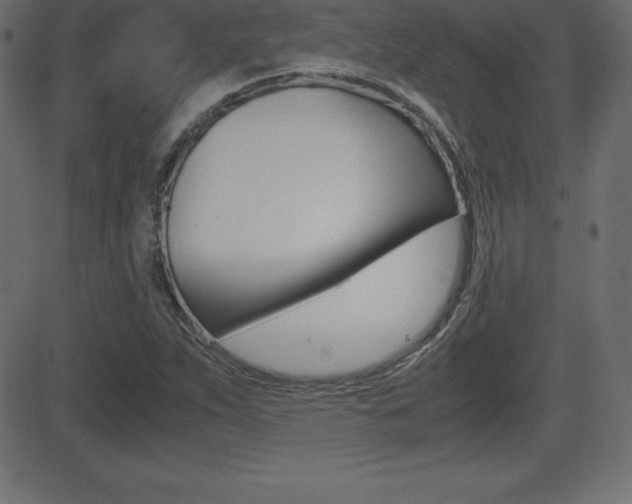 X0000081471263200701121007