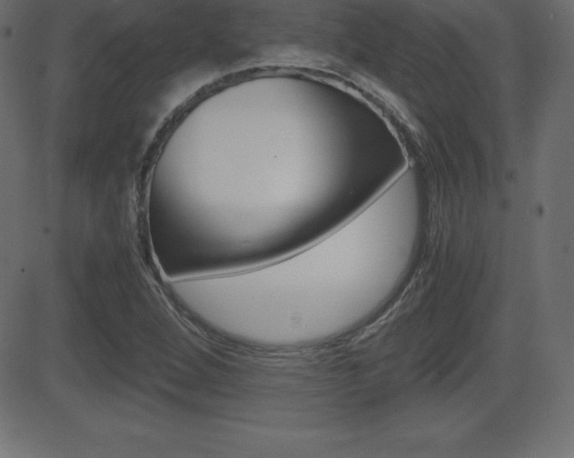 X0000081471264200701121007