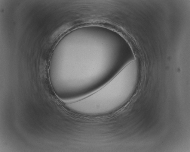 X0000081471265200701121007
