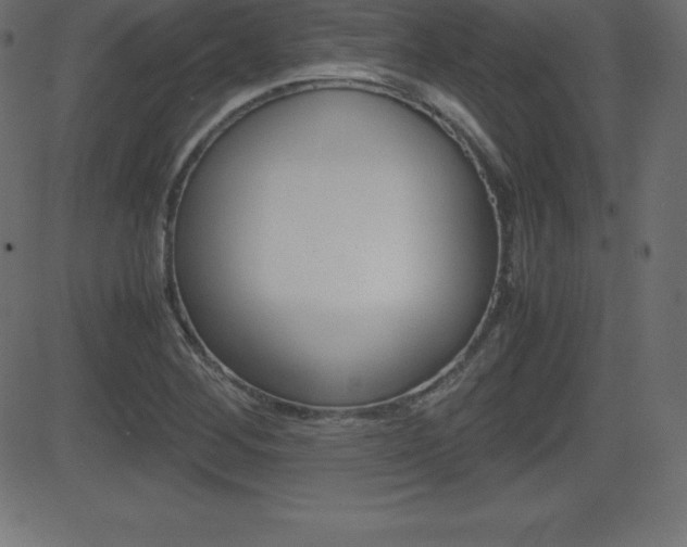 X0000081471268200701121006